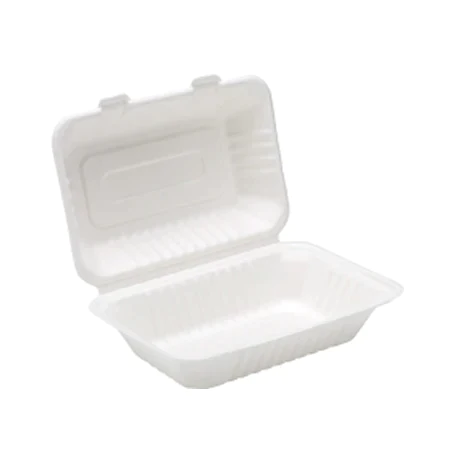 Bagasse 9x6